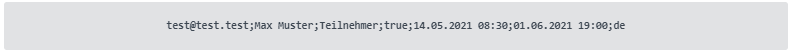Screenshot einer Dateneingabe bei einer CSV-Datei