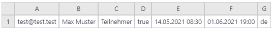 Screenshot einer Dateneingabe bei einer XLSX-Datei