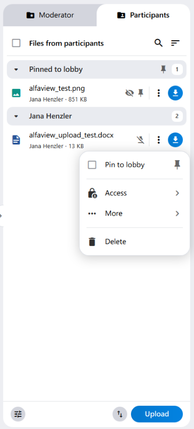Using the file options in File Sharing, you can set access permissions, pin the file to the lobby, report it, or delete it.